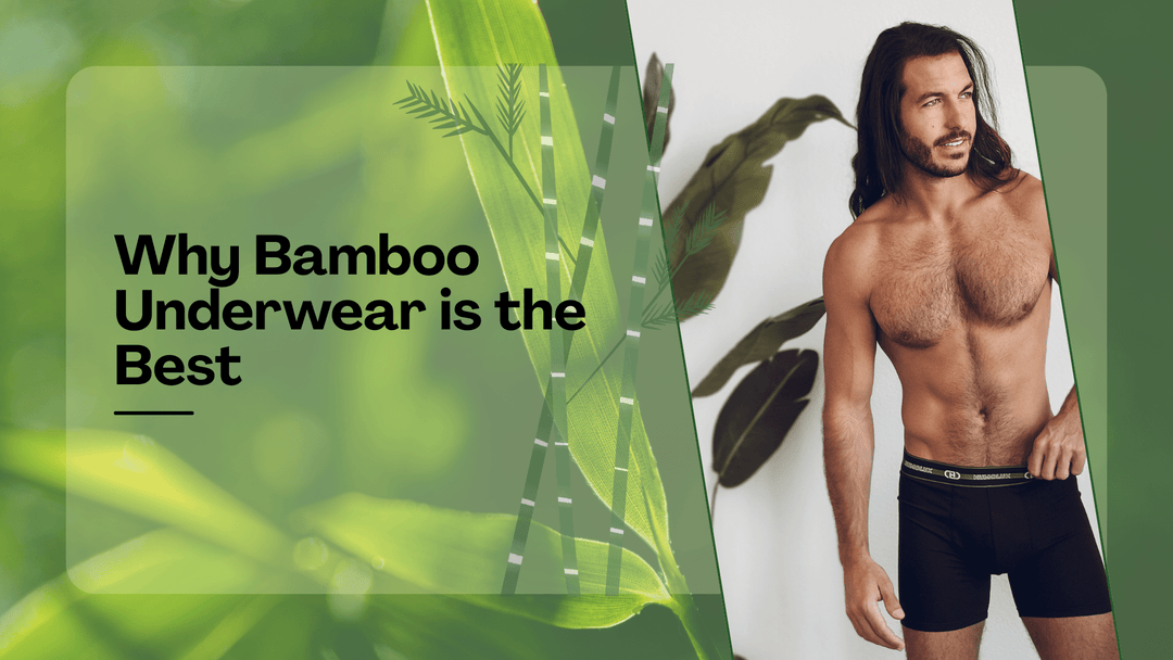 Why Bamboo Underwear Is the Most Comfortable Choice for Men - Humolux Underwear