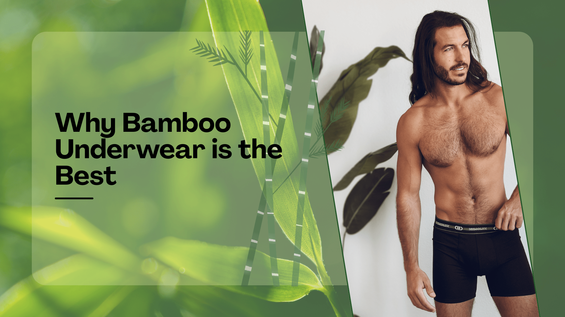 Why Bamboo Underwear Is the Most Comfortable Choice for Men - Humolux Underwear