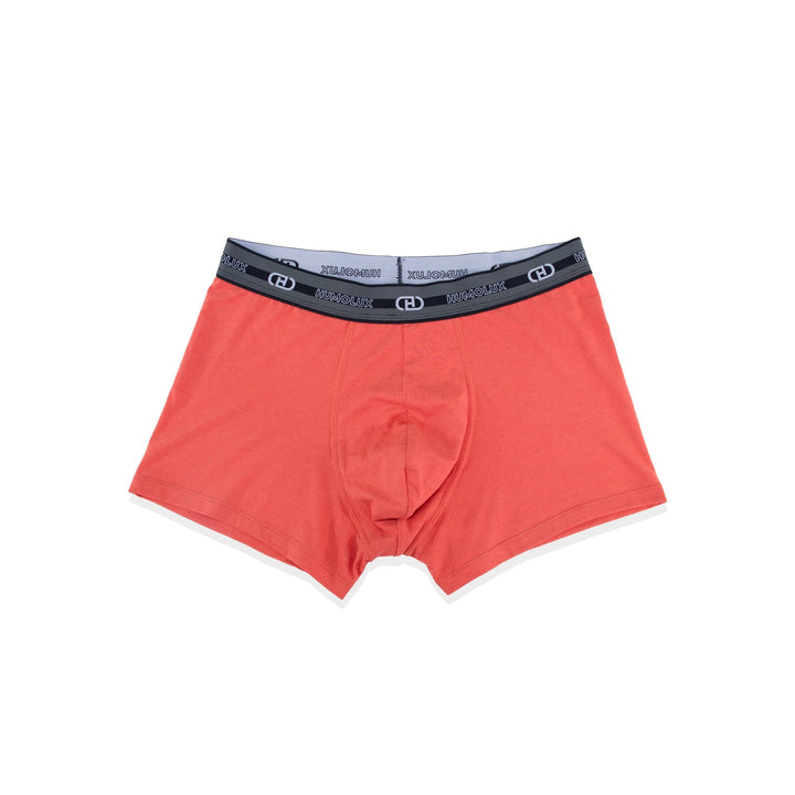 Bamboo Cotton Men’s Underwear – Boxer Briefs, Soft & Breathable